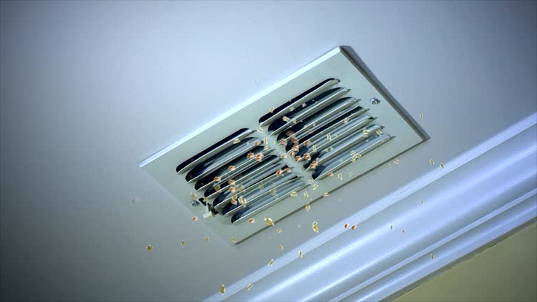 Best Affordable Duct Cleaning Services  in World Golf Village, FL